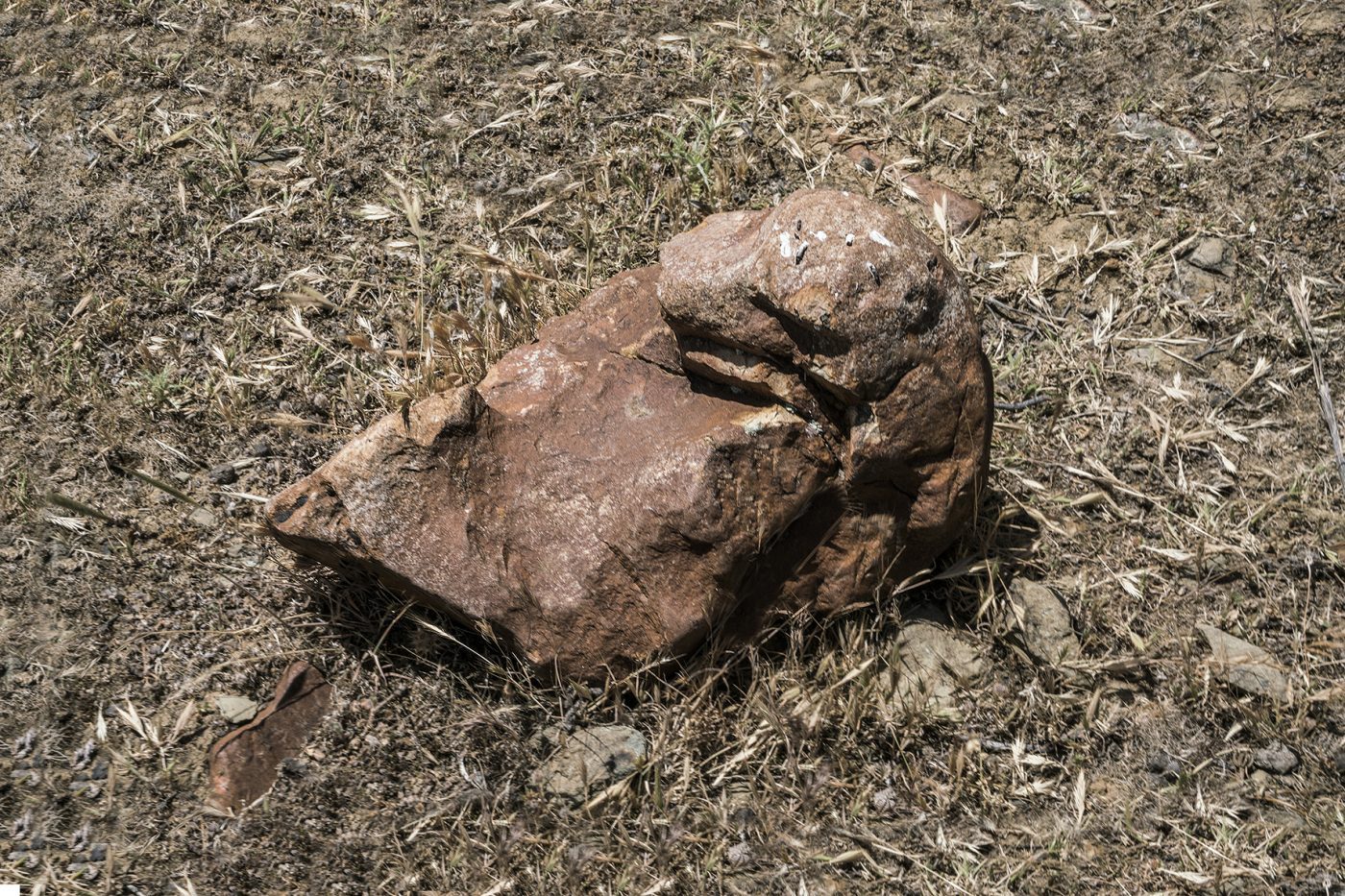 fotografía campo de concentración de astuera_arqueología contemporánea 1